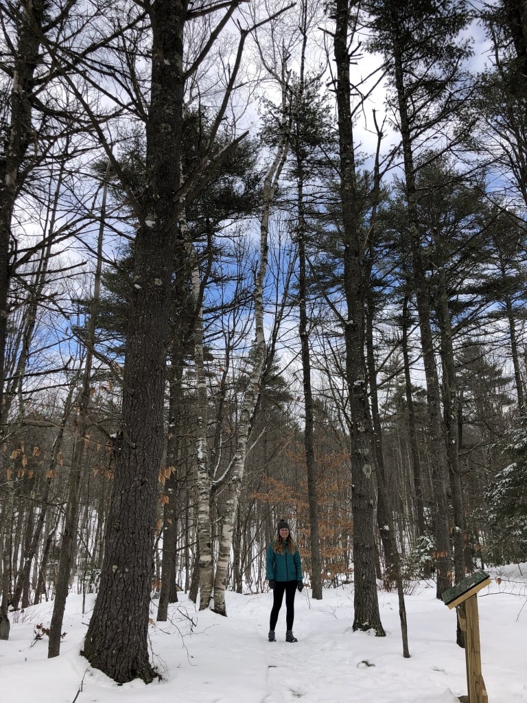 hiking near bath maine