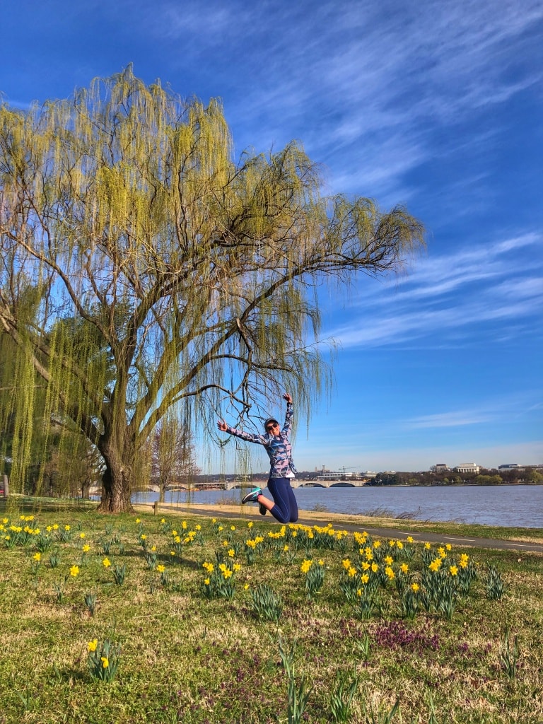 spring running DC