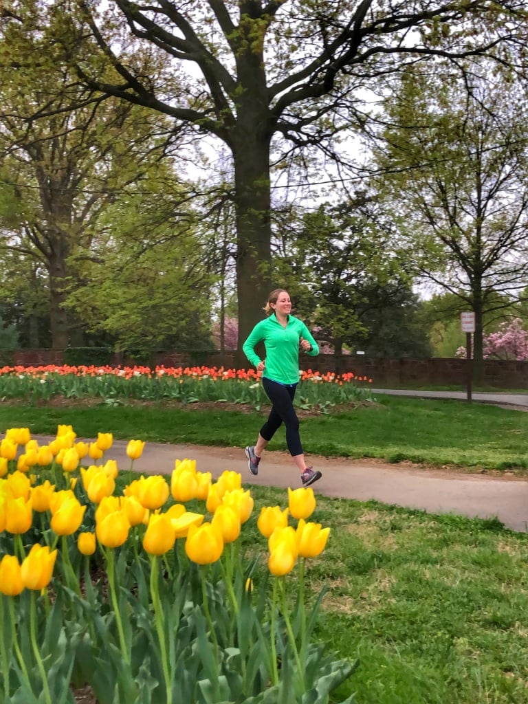 arlington va tulips running spring