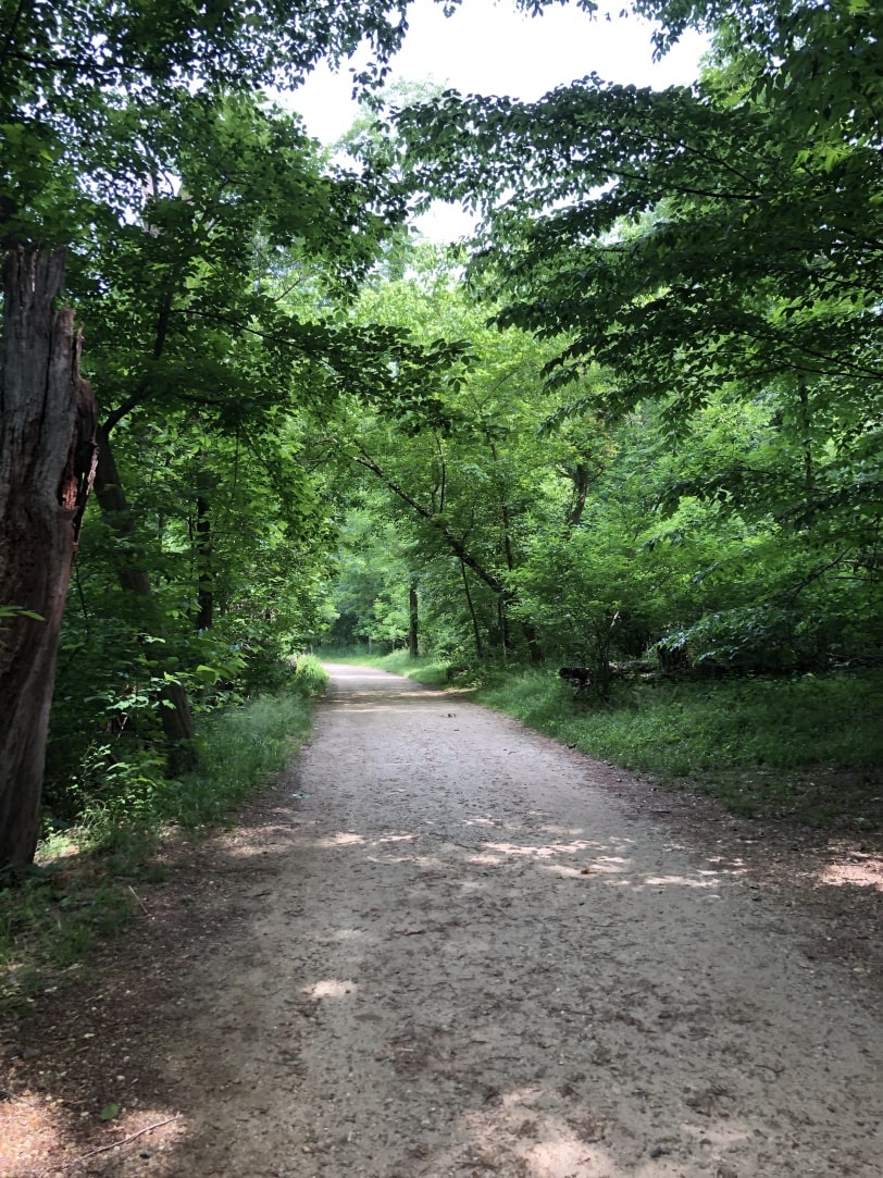 roosevelt island running