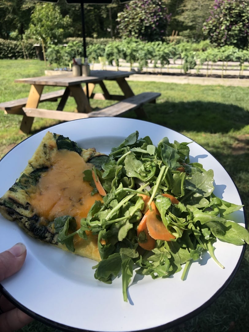 beach plum farm cape may brunch