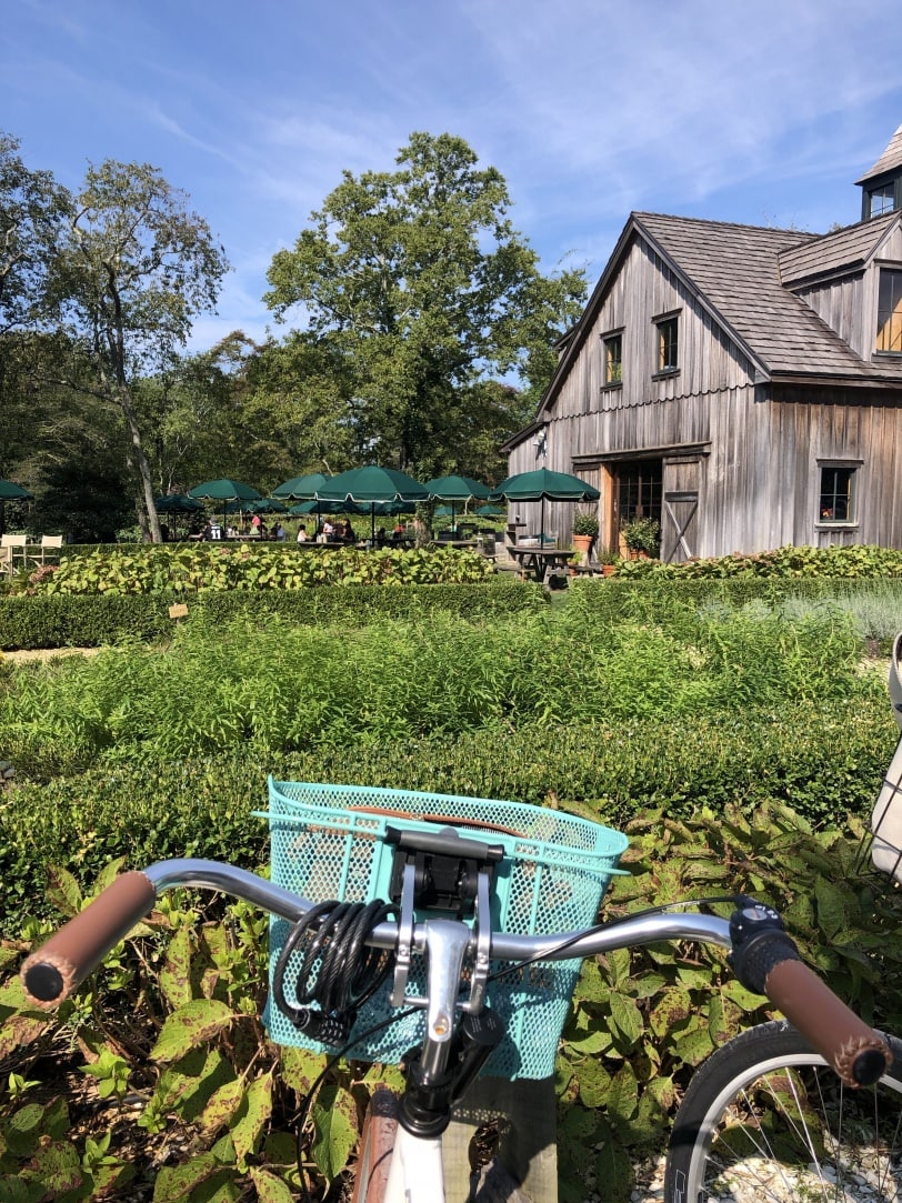 beach plum farm cape may
