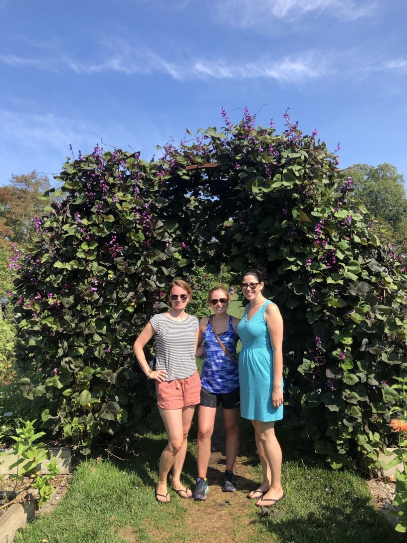 beach plum farm cape may