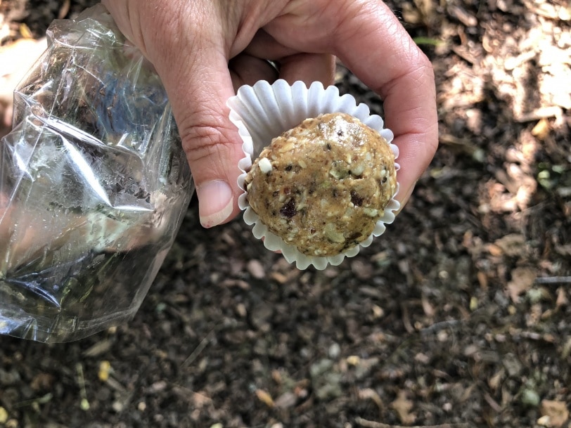 clean energy bites from adesso cafe sewickley