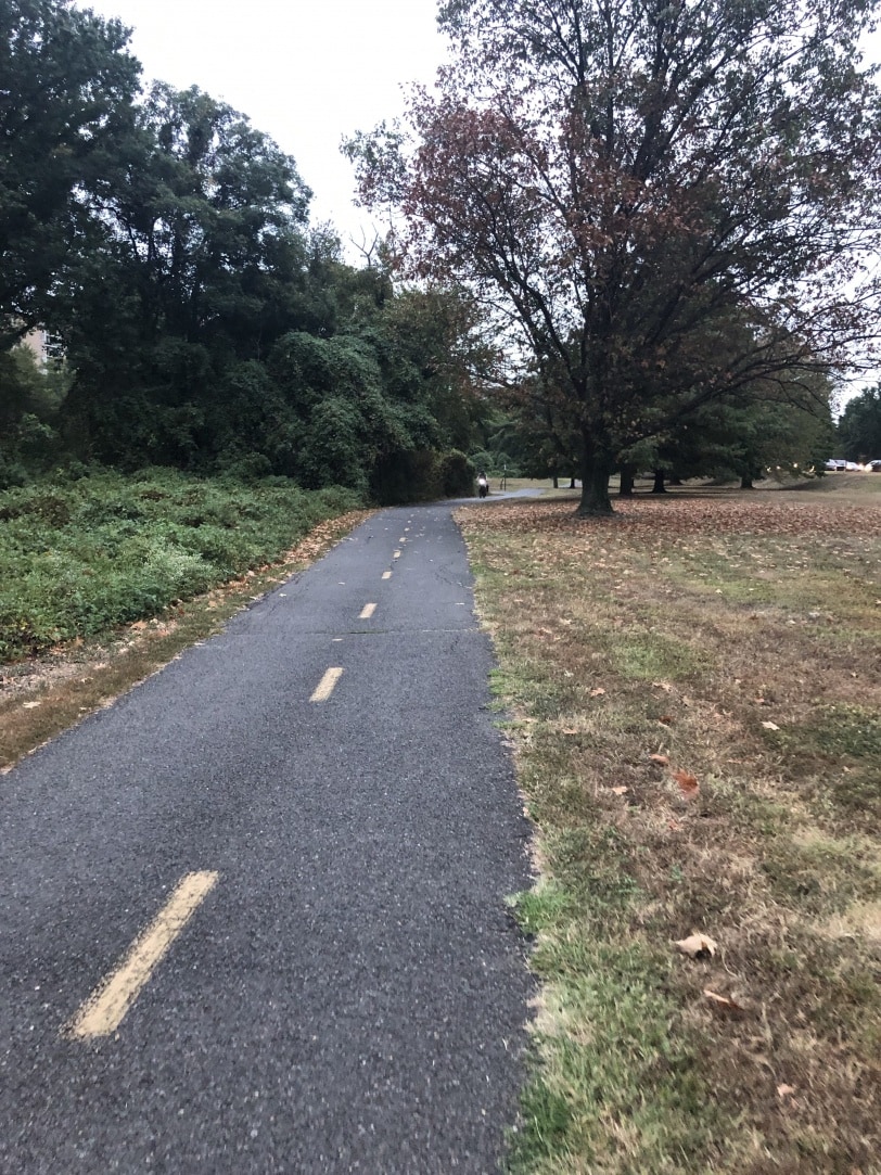 running from daingerfield island