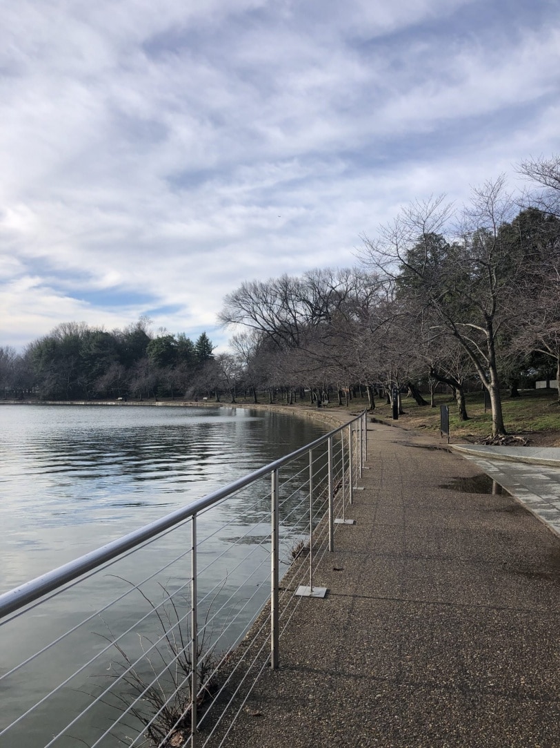 running dc tidal basin