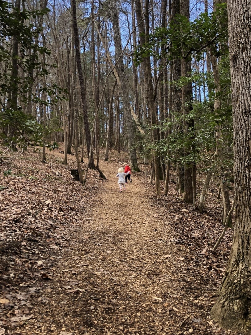 blue jay point trail raleigh