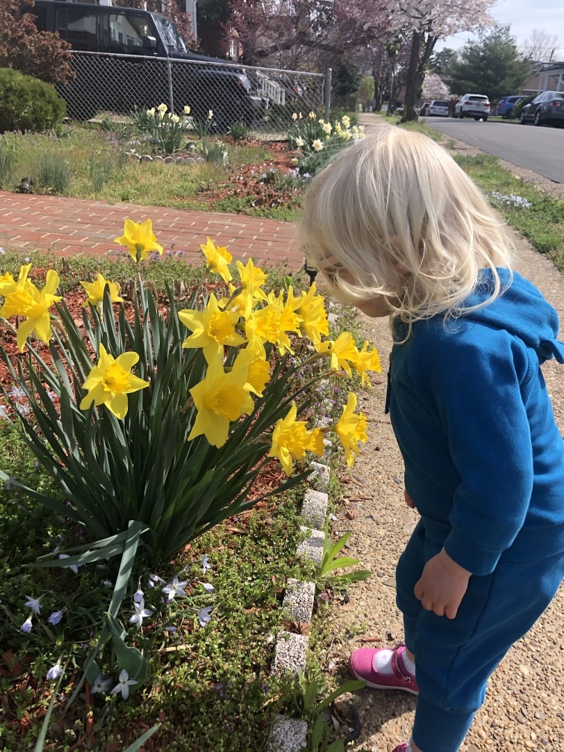 dont forget to stop and smell the flowers