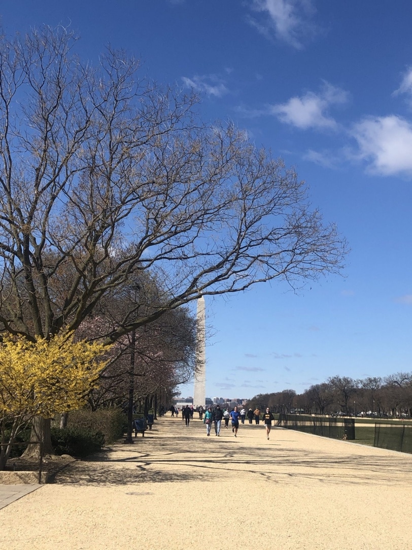 half marathon training in DC