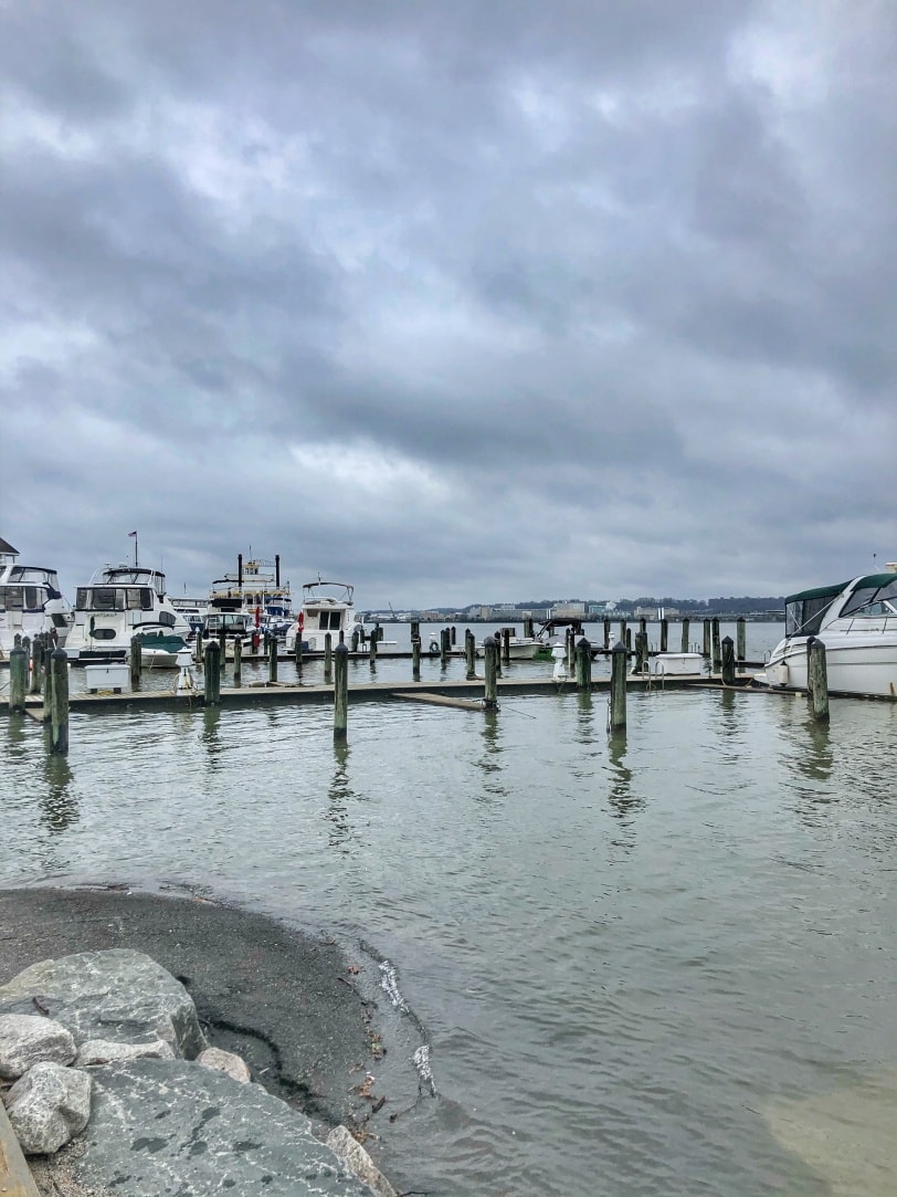 old town alexandria waterfront marina