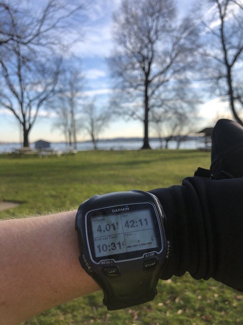 morning run on mt vernon trail