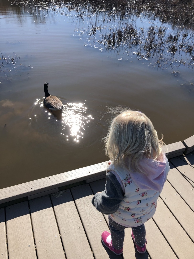 huntley meadows park