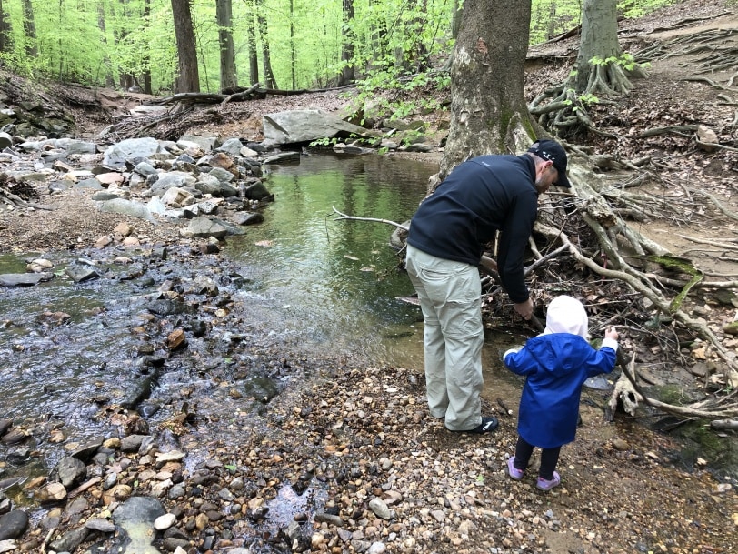 hiking with a toddler