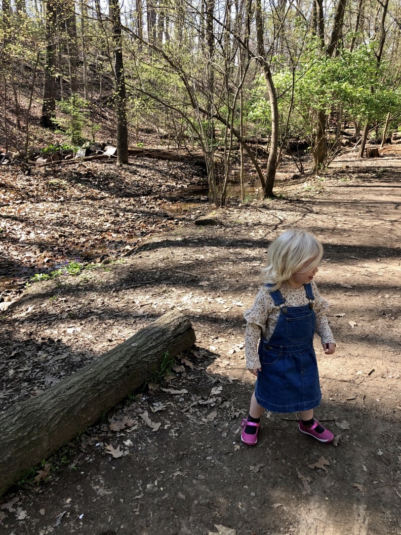 toddler hiking in the woods