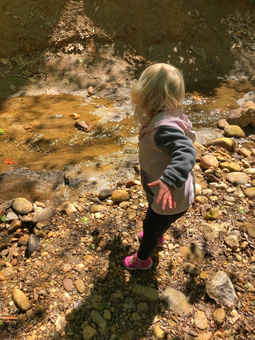 toddler throwing rocks in a stream