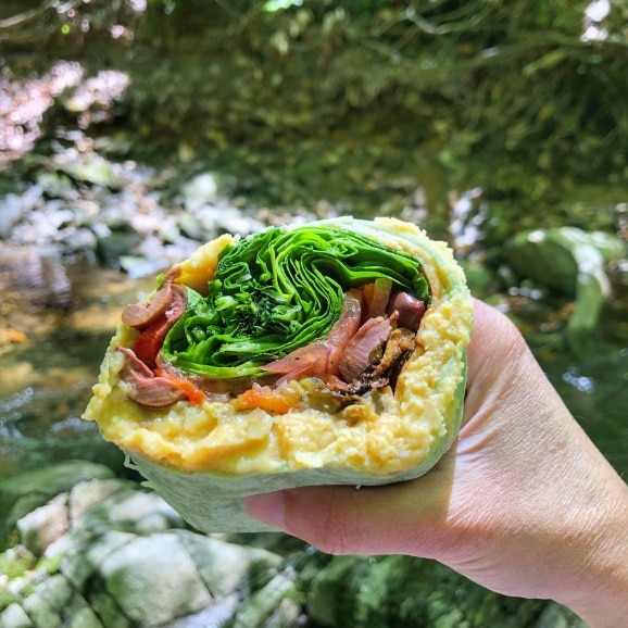 veggie wrap with hummus and turkey