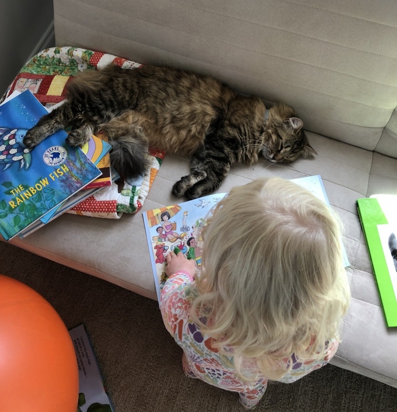 toddler reading a book to a cat