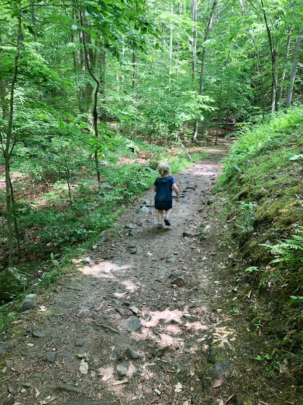 toddler hiking in the woods on a trail