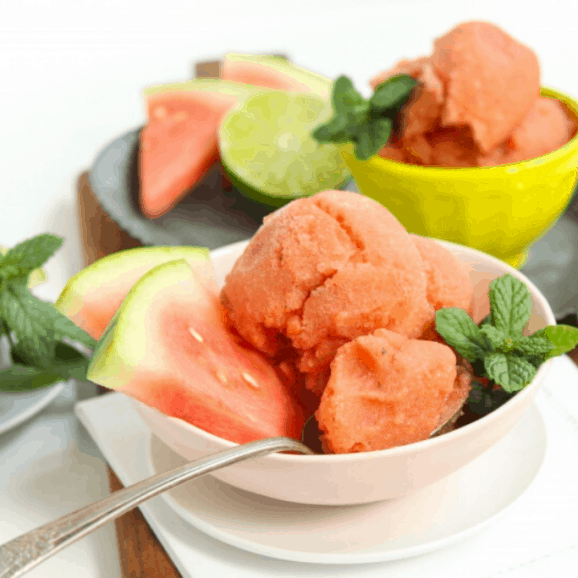 watermelon mojito sorbet