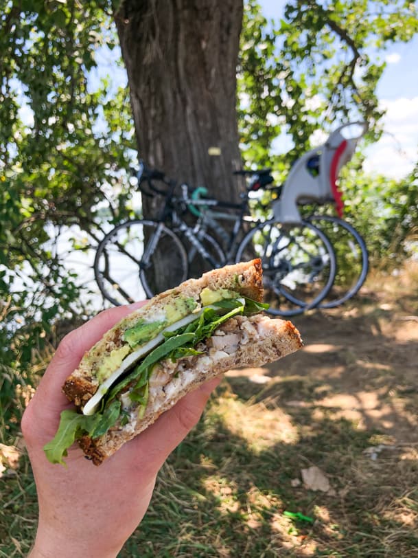 sandwich made with chicken, avocado, mayo, mustard, arugula, cheese
