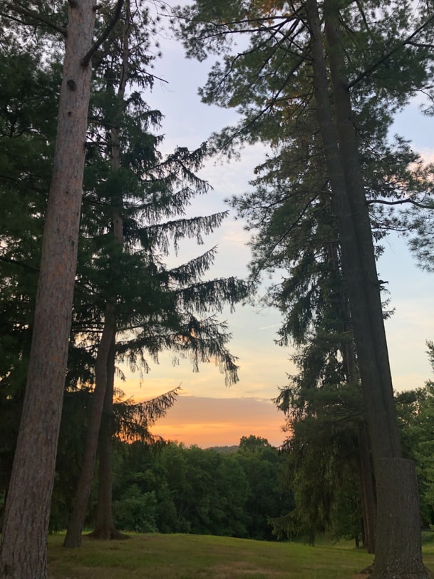 sunset in sewickley PA