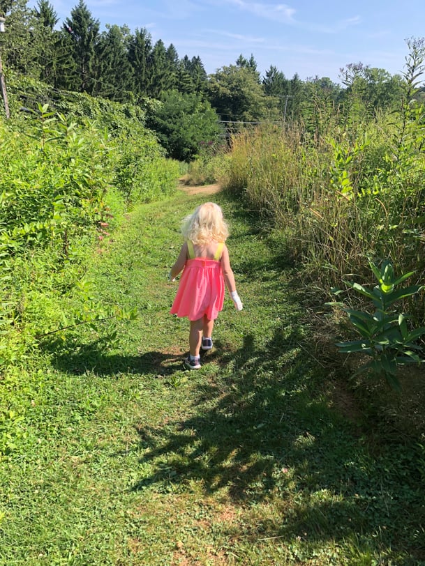 nice day for a hike