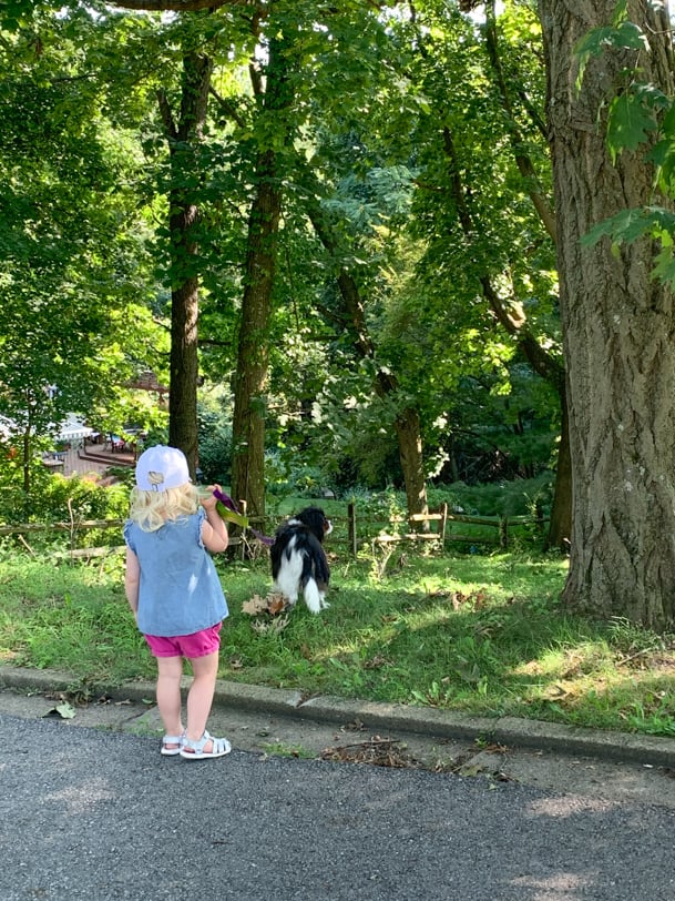 walking the dog