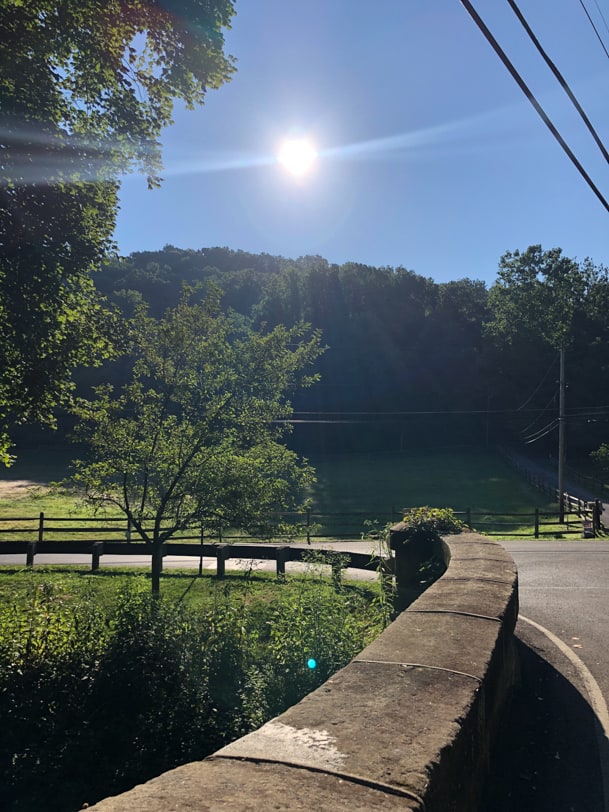 sunny morning in sewickley pa