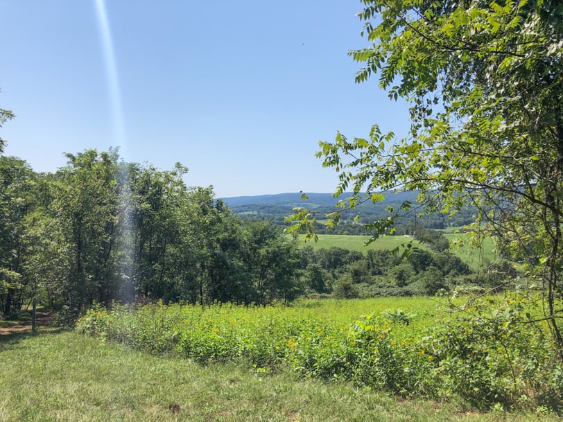 sky meadows state park hike