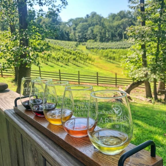 arterra winery virginia