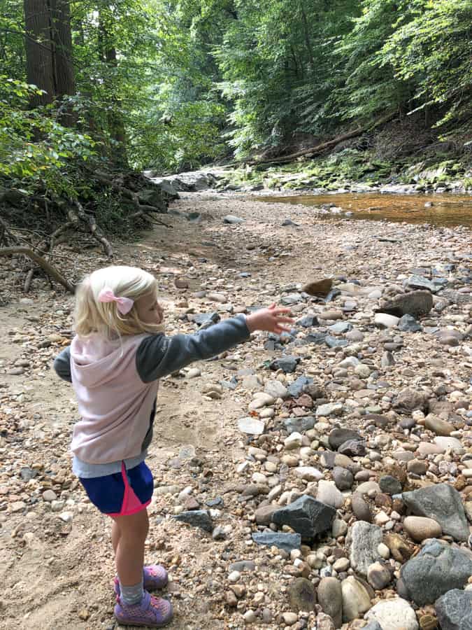 throwing rocks into a stream