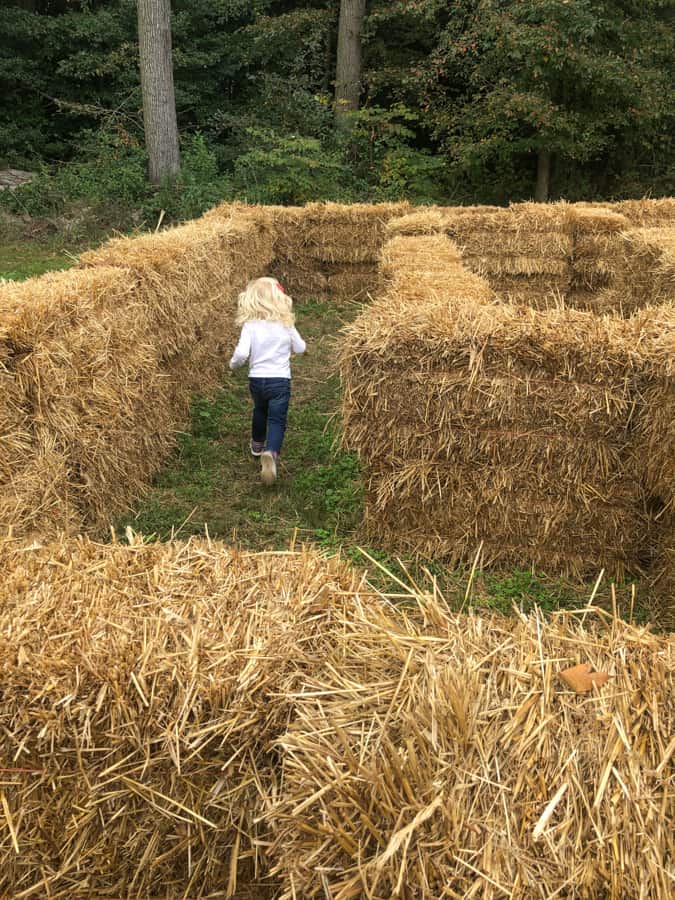 schlagel farms hay maze
