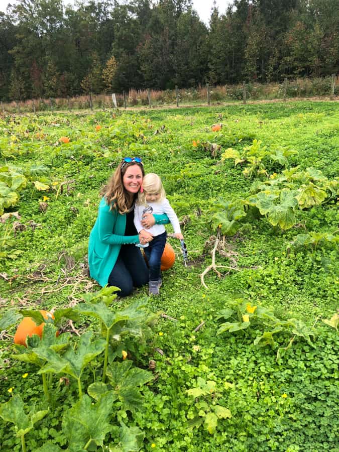 pumpkin patch fun