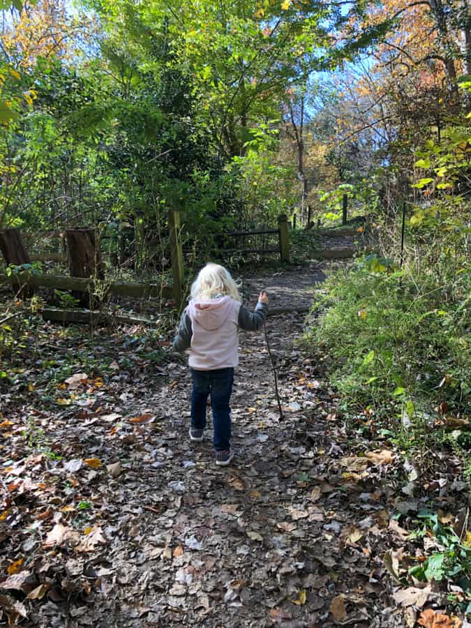 toddler hiking