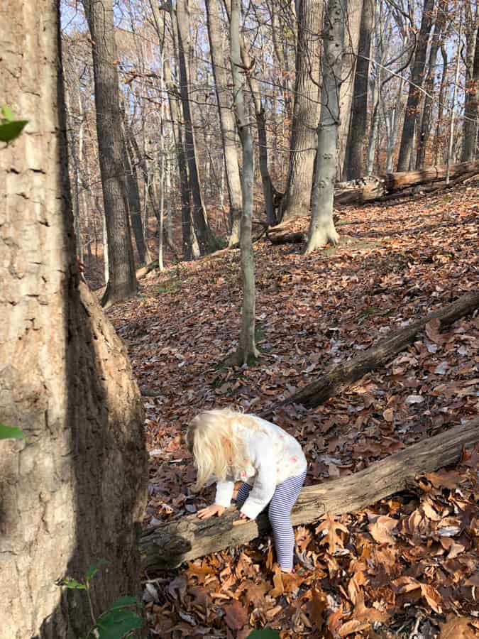 toddler hiking