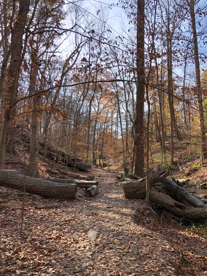 potomac overlook park