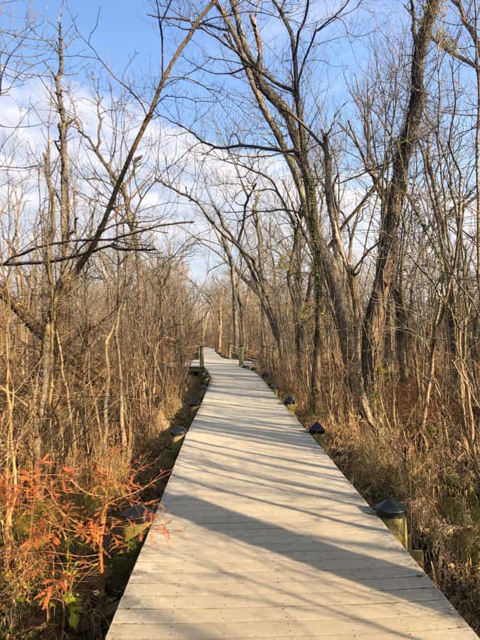 boardwalk on roosevelt island