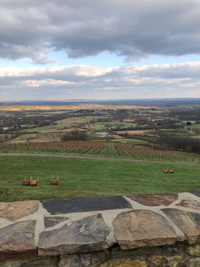 view from dirt brewery