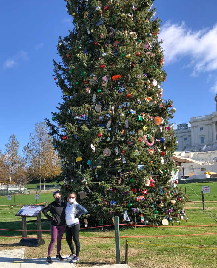 capitol christmas tree 2020