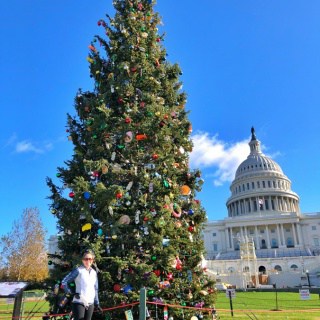 capitol christmas tree 2020