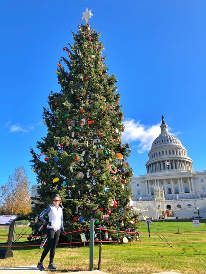 capitol christmas tree 2020