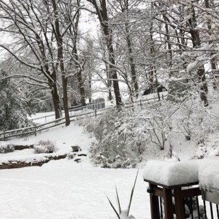 backyard winter wonderland