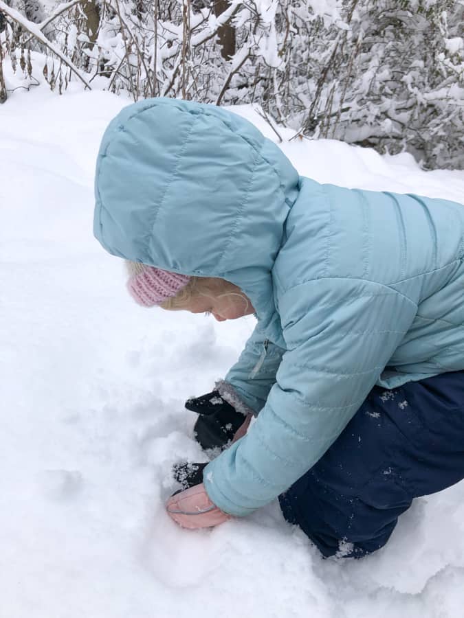 enjoying the snow