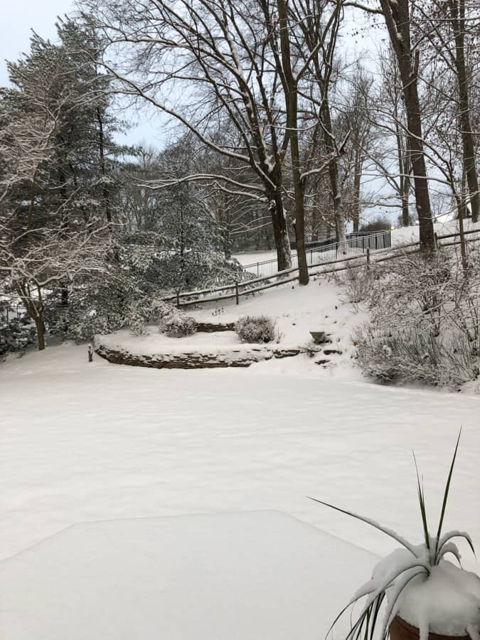 white christmas
