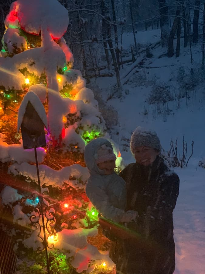 snowy christmas tree