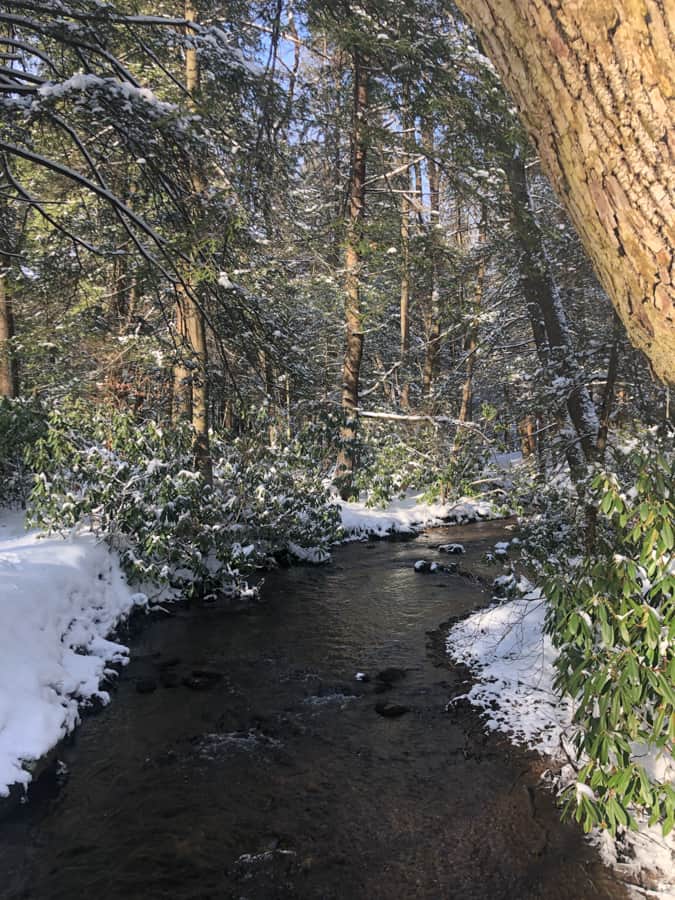 snowy stream