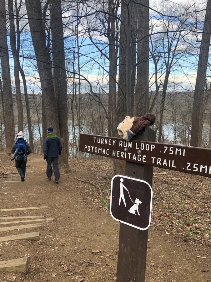 turkey run park hike