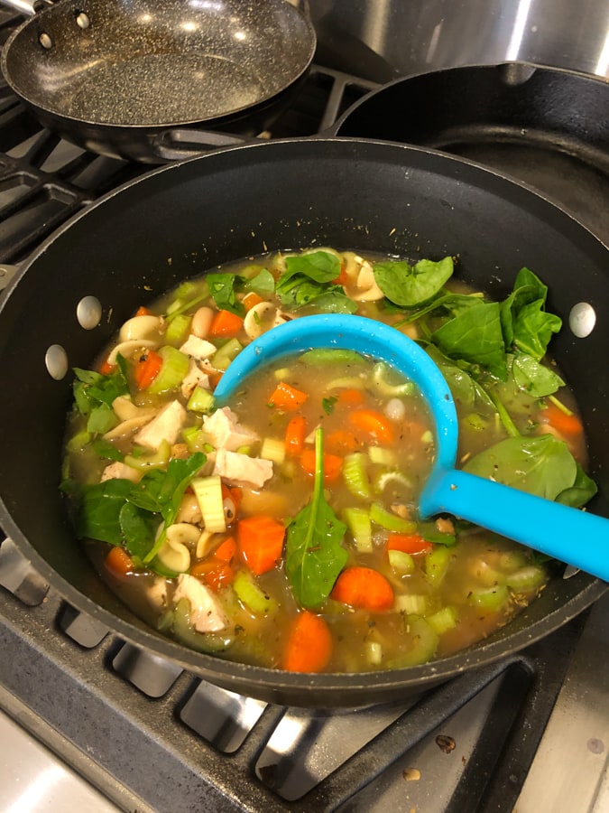chicken veggie soup