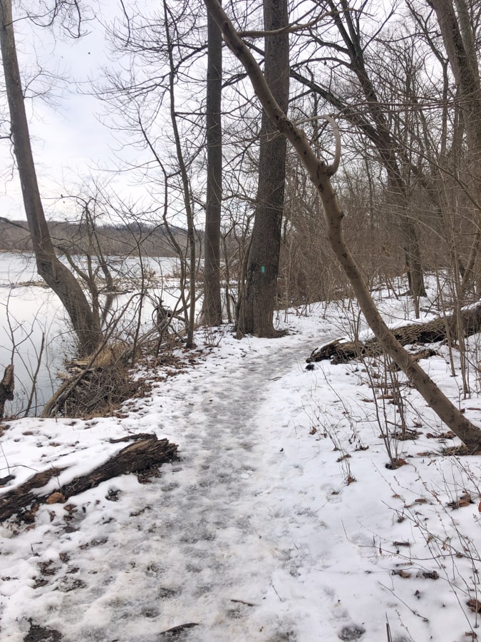 snowy winter hike at turkey run park va