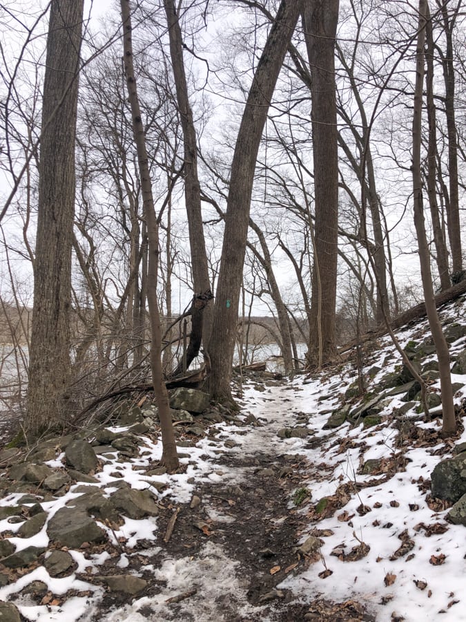 turkey run park in winter